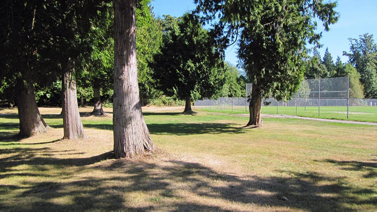 Tall trees and open lawn at Ocean Cliff Park in Ocean Park, South Surrey