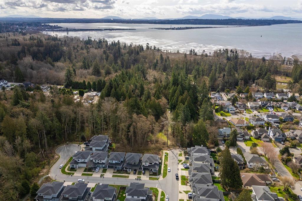 Aerial view of homes and forest in South Surrey, with the bay beyond