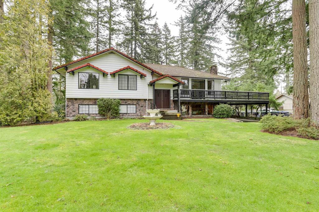 A split-level home on a wide lawn under tall evergreens in Pacific Douglas, South Surrey
