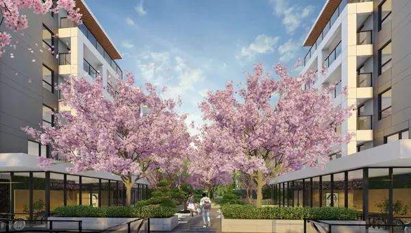 New Kamilia Condos Langley: Pre-Sale Overview & Honest Review