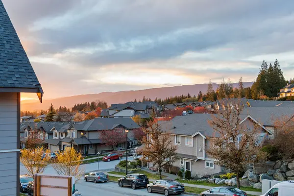 Silver Valley, Maple Ridge: The 2026 Neighbourhood Guide