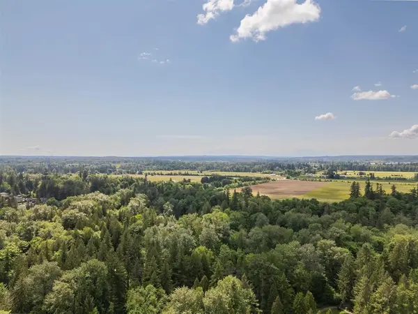 Langley BC: farmland and mountains drone view