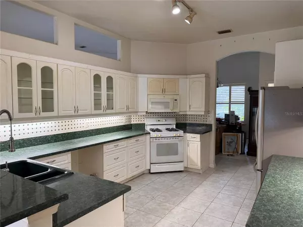 3747 SUNRISE OAKS DR, Port Orange, FL 32129