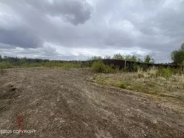 4015 S Jack London CIR, Big Lake, AK 99652