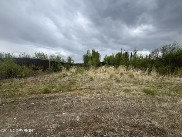 4015 S Jack London CIR, Big Lake, AK 99652