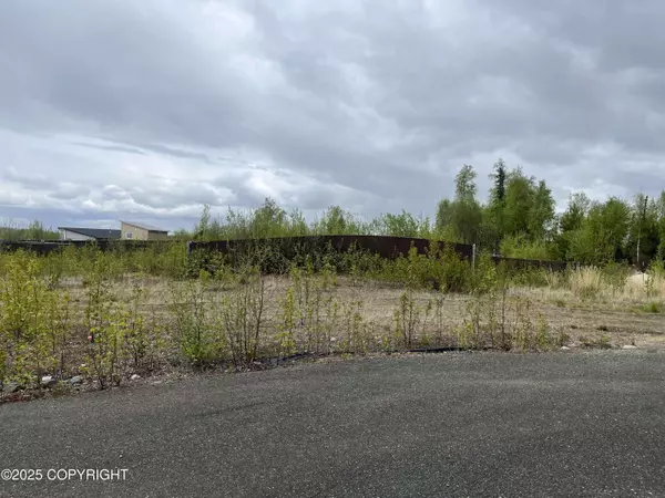 4015 S Jack London CIR, Big Lake, AK 99652