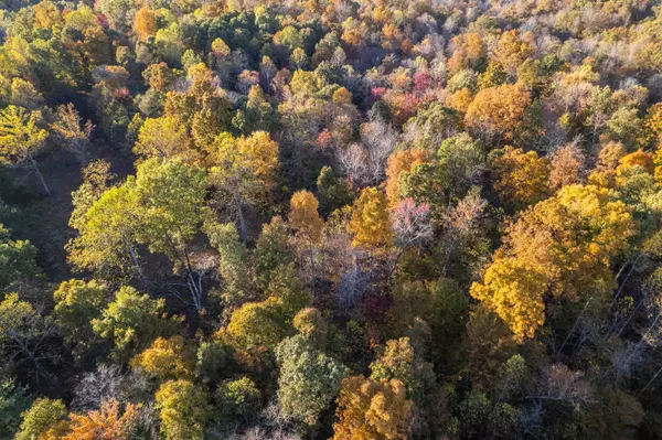 0 Askins Road, Fordsville, KY 42343