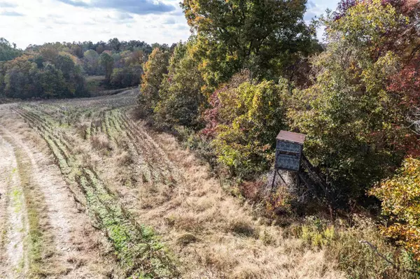 0 Askins Road, Fordsville, KY 42343