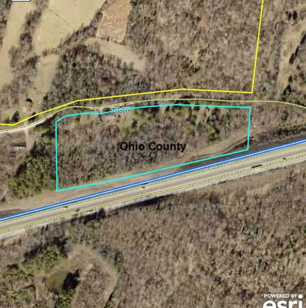 1146 Neafus Rd, Horse Branch, KY 42349