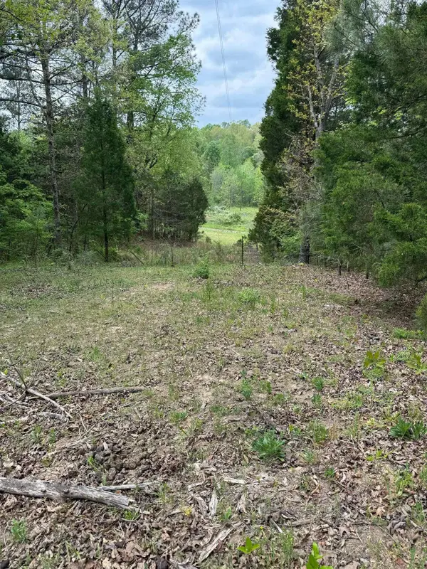 1146 Neafus Rd, Horse Branch, KY 42349