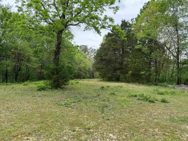 1146 Neafus Rd, Horse Branch, KY 42349