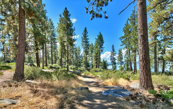 Architectural Masterpieces of Skyland NV,Lisa Valentine