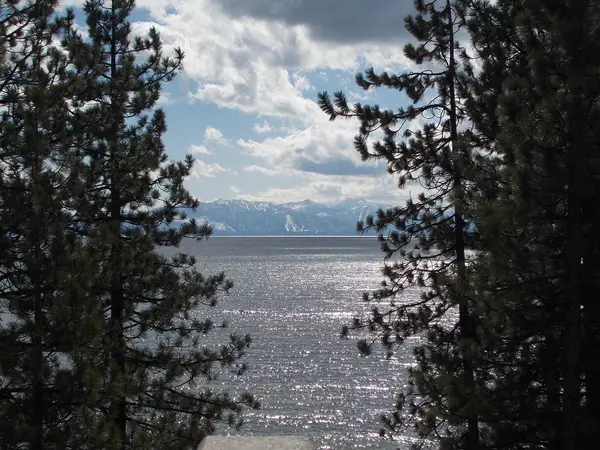 Why Investors Love Nevada’s Friendly Tax Structure,Lisa Valentine