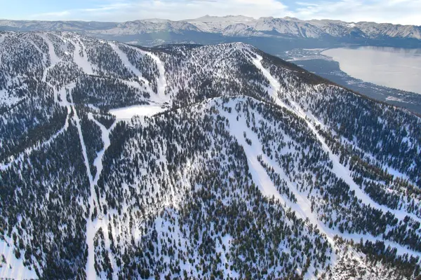 Investment Potential — Why Stateline Performs,Lisa Valentine