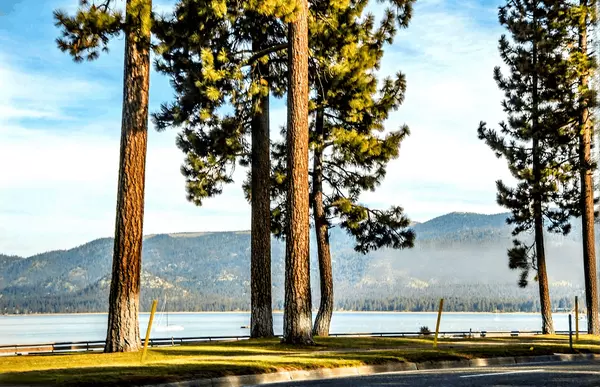 Glenbrook for Second‑Home Owners: A Turnkey Retreat,Lisa Valentine