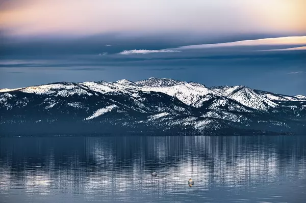 Winter Living in Glenbrook: Tahoe Snow, Peace, and Beauty,Lisa Valentine
