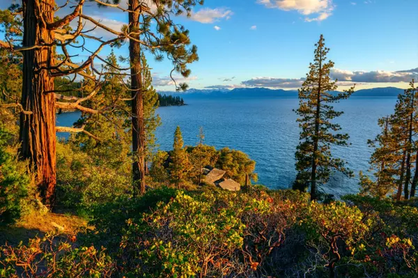 Glenbrook and Nevada Tax Benefits: A Winning Combination,Lisa Valentine