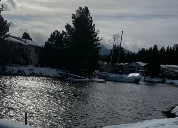 Wildlife in Tahoe Keys: Nature at Your Doorstep,Lisa Valentine