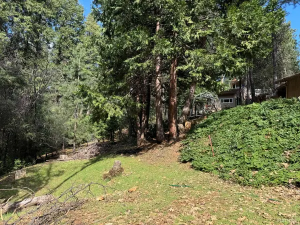 6001 Calico Court, Pollock Pines, CA 95726