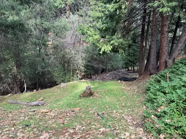 6001 Calico Court, Pollock Pines, CA 95726