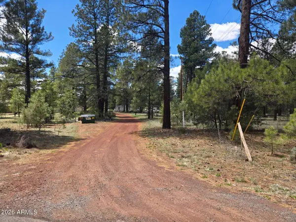 196 N SPITZ SPRING Road, Parks, AZ 86018