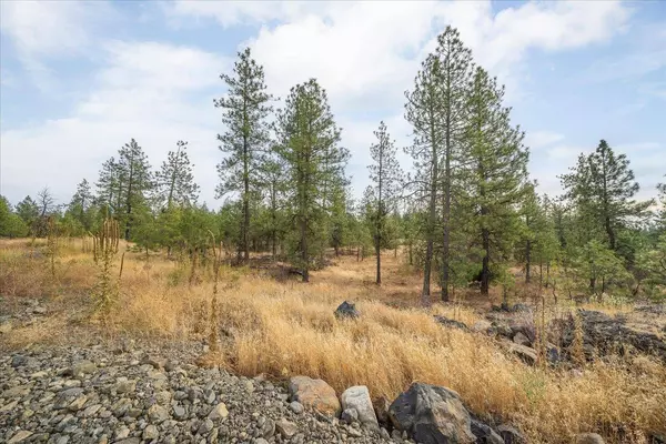 00 W Burnett Rd, Nine Mile Falls, WA 99026