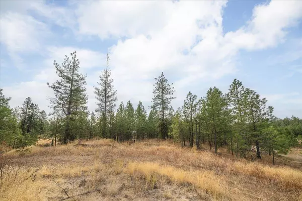 00 W Burnett Rd, Nine Mile Falls, WA 99026
