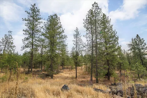 00 W Burnett Rd, Nine Mile Falls, WA 99026