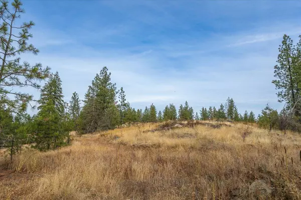 00 W Burnett Rd, Nine Mile Falls, WA 99026