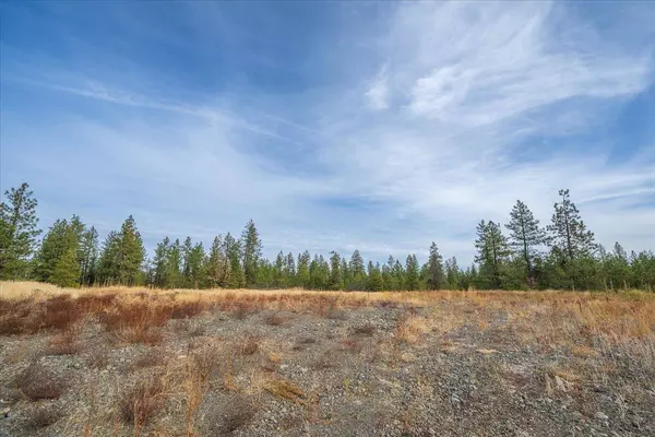 00 W Burnett Rd, Nine Mile Falls, WA 99026