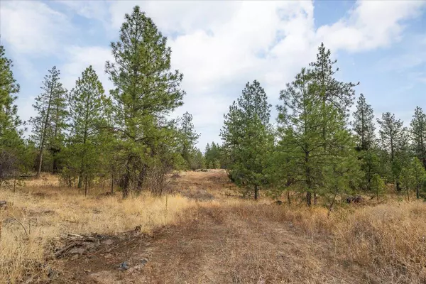 00 W Burnett Rd, Nine Mile Falls, WA 99026