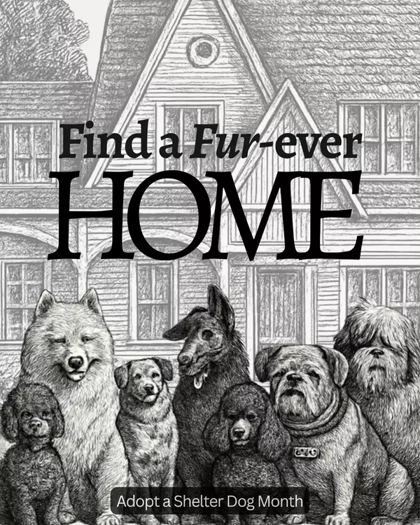 Find Your Forever Home: October is Adopt a Shelter Dog Month