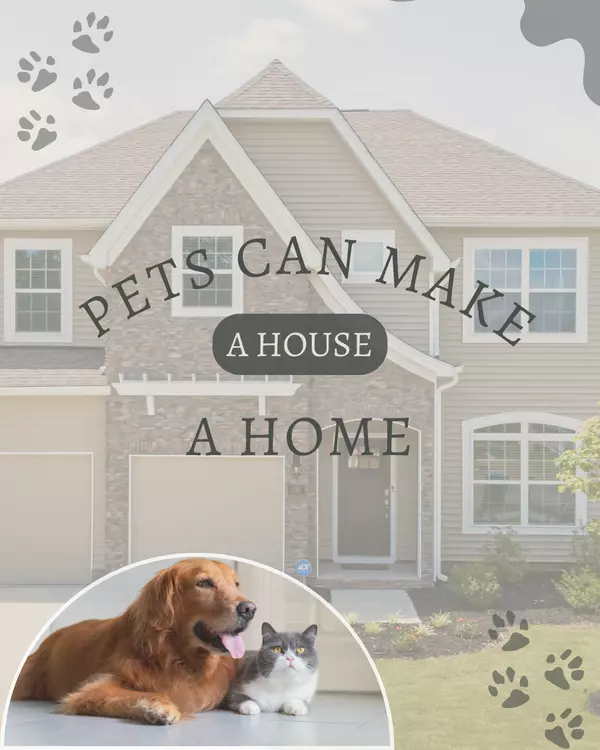 How Pets Help Make a House a Home
