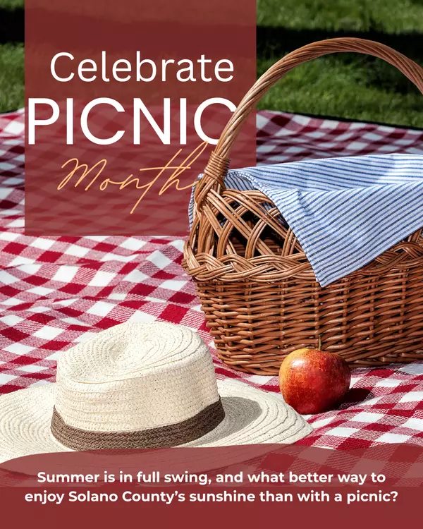 Perfect Picnic Ideas in Solano County