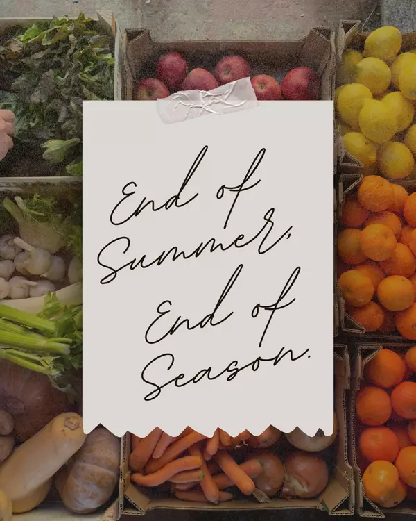 Farmers Markets Wrapping Up in Solano & Yolo Counties