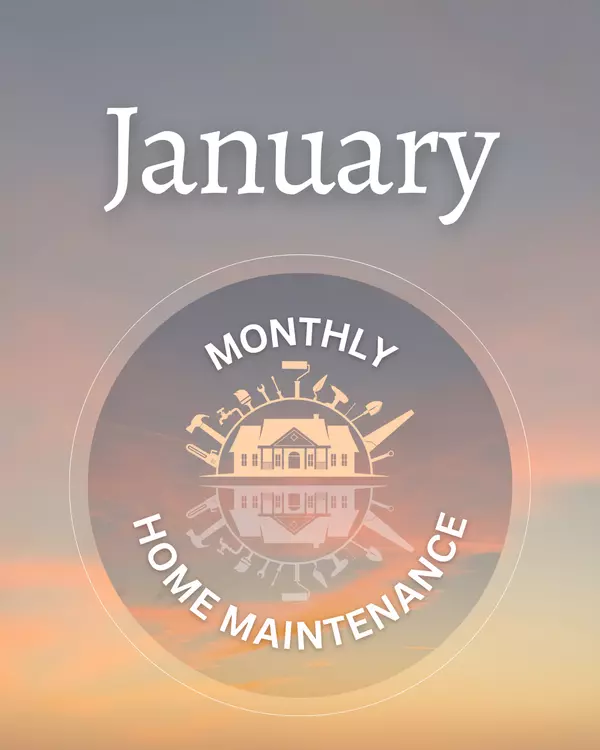 feature image of January: After the Rain, Before the Next Storm