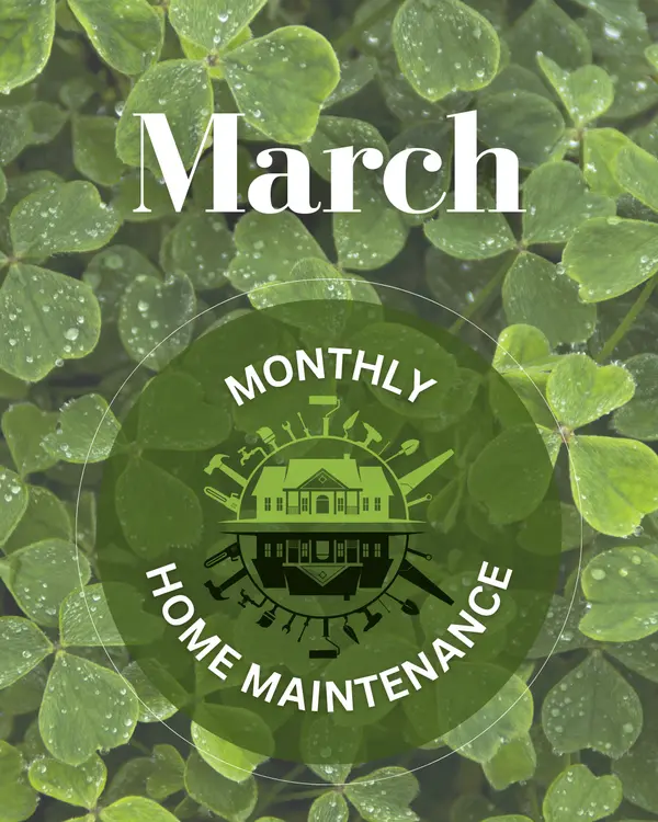 March: Exterior Checkups & Water-Wise Prep