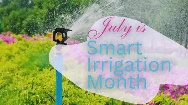  July is Smart Irrigation Month! ,Deanna Deckard