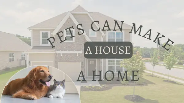 How Pets Help Make a House a Home,Deanna Deckard
