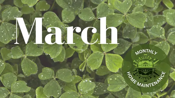 March: Exterior Checkups & Water-Wise Prep