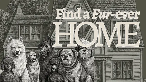Find Your Forever Home: October is Adopt a Shelter Dog Month,Deanna Deckard