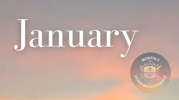 January: After the Rain, Before the Next Storm,Deanna Deckard