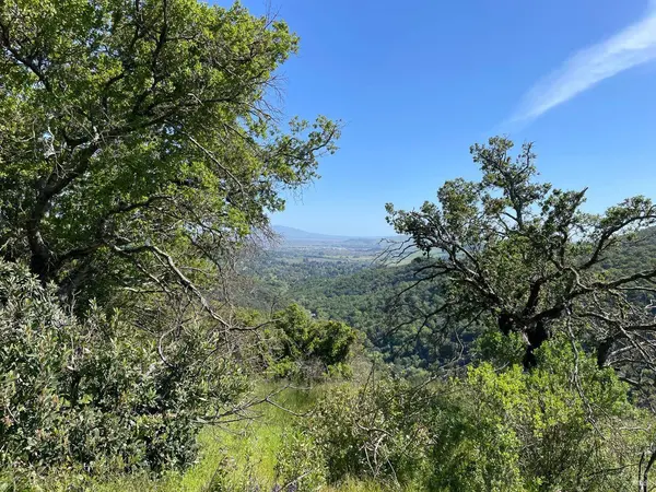 0 Green Valley LN Lot 3, Green Valley, CA 94534