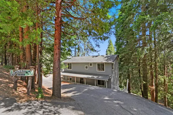 18980 Circle View DR, Pioneer, CA 95666