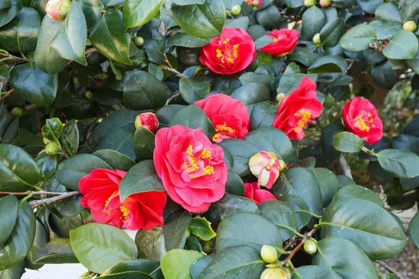 2816 Otto DR, Stockton, CA 95209