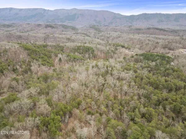 3940 Allegheny Loop Rd, Maryville, TN 37803