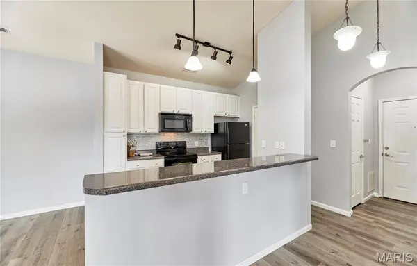 29 Kassebaum LN #307, Unincorporated, MO 63129