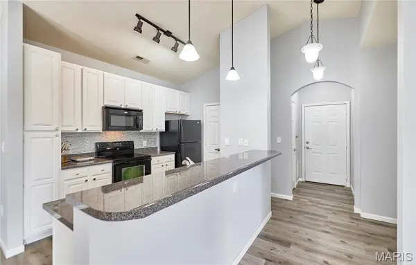 29 Kassebaum LN #307, Unincorporated, MO 63129