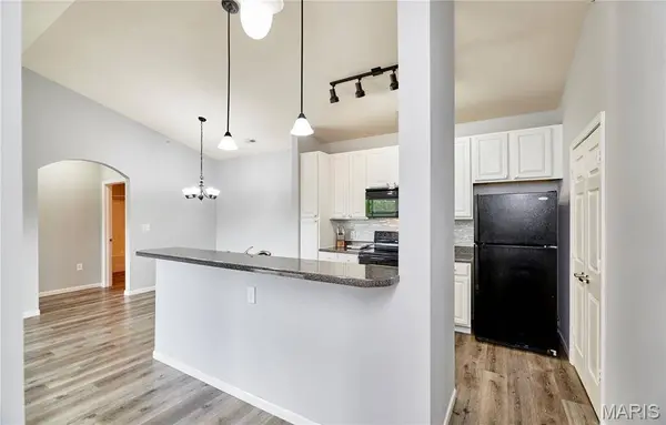 29 Kassebaum LN #307, Unincorporated, MO 63129