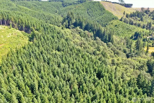 1668 King RD, Winlock, WA 98596